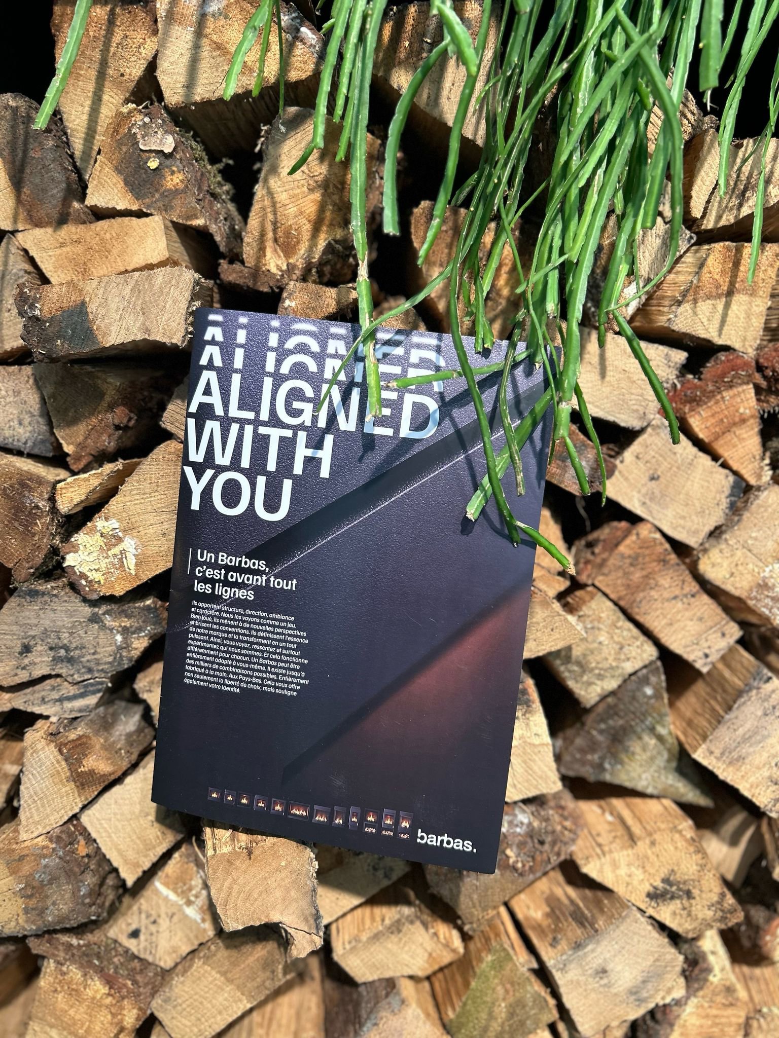 WhatsApp Image 2025-03-26 at 09.56.24