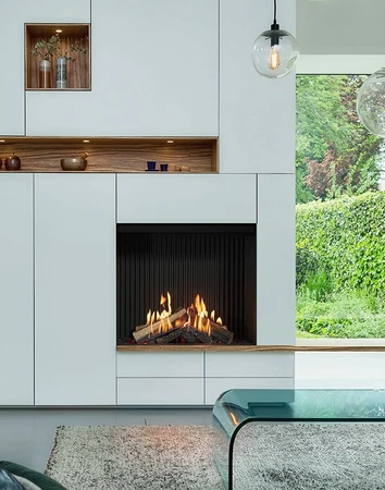 Gas Fire Front Portrait