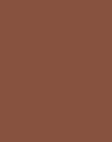 Kleur Roest bruin RAL 8004