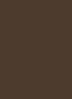 Kleur gebruind brons Ral 8028
