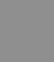 Kleur grijs RAL 9007